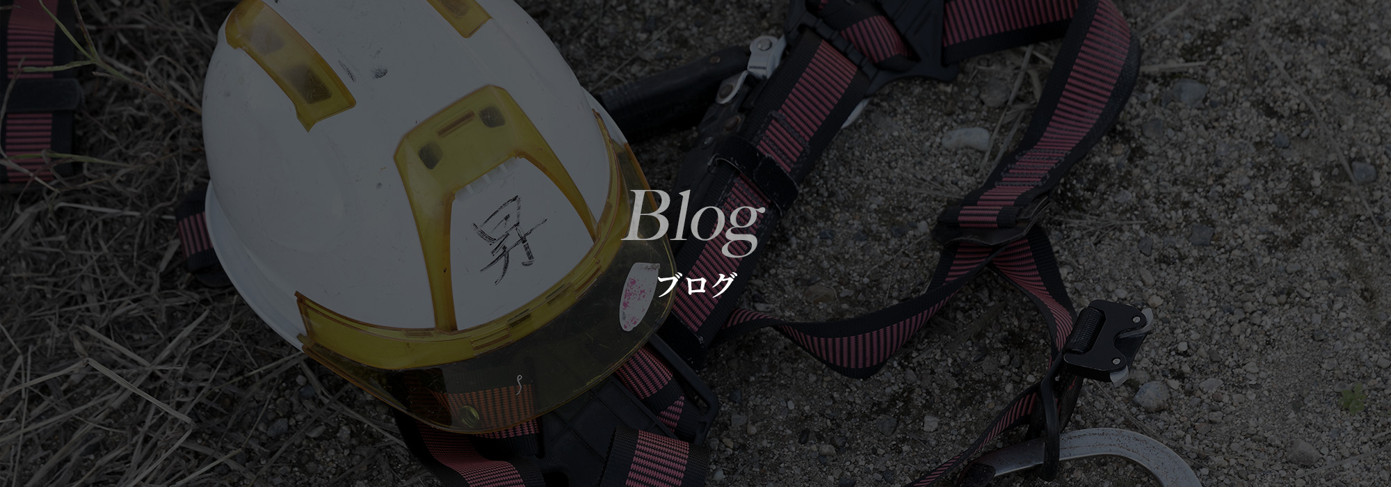 ブログ